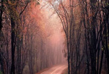 怀疑人生巴萨女足第5／6球均是满分任意球打死角.