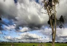 遭伊万诟病！国足首发11人联赛出场：仅4人铁主力，杨泽翔0出场.