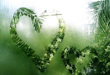 罗本：拜仁需要基米希这种球员；穆勒已经是一位传奇.